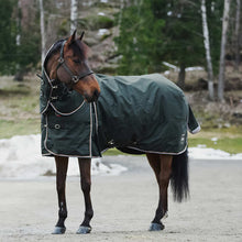 Load image into Gallery viewer, Georgina Turnout Rug with Detachable Neck Piece 250g