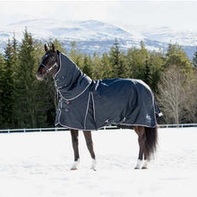 Load image into Gallery viewer, Georgina Turnout Rug with Detachable Neck Piece 250g