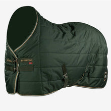 Load image into Gallery viewer, B Vertigo Corey Stable Rug 250g