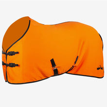 Load image into Gallery viewer, LIMITED EDITION - Halloween Fleece Rug