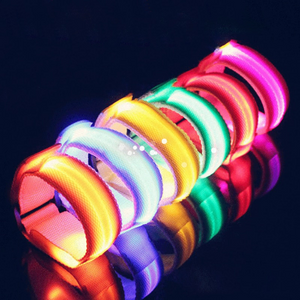 4 Pieces LED Lighting Horse Leg